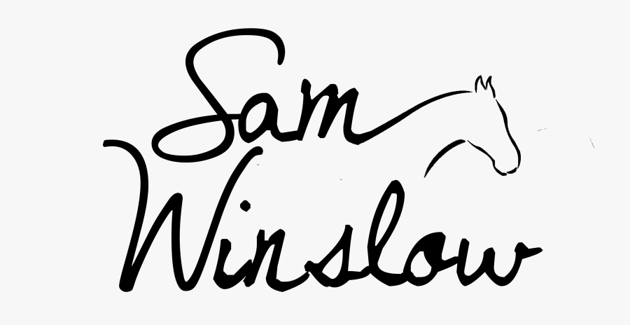 To The Bull Shit You Tell Yourself About Yourself And - Calligraphy, Transparent Clipart