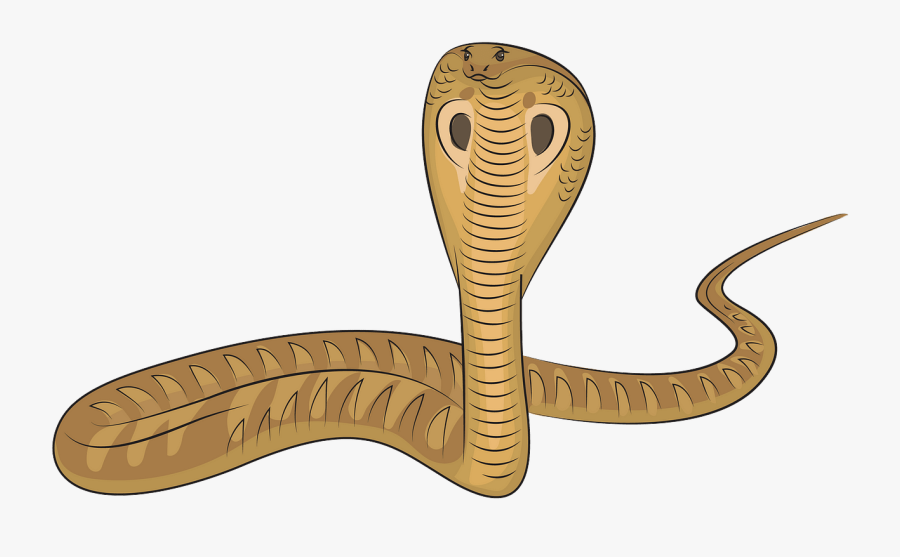 Smooth Earth Snake, Transparent Clipart