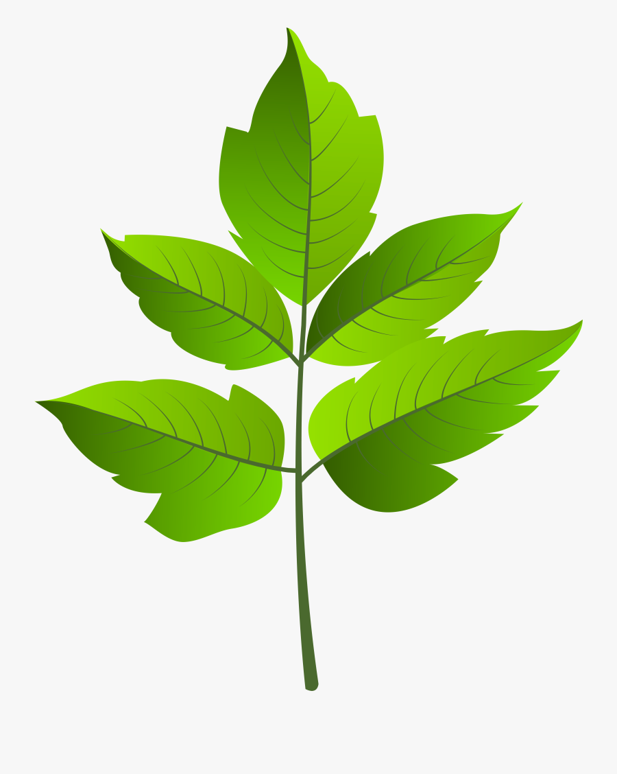 Leaf Green Png Clip Ar, Transparent Clipart
