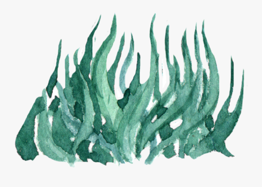 #ftestickers #watercolor #clipart #grass - Aloe, Transparent Clipart