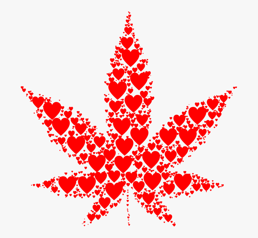 Fir,pine Family,christmas Decoration - Cannabis, Transparent Clipart