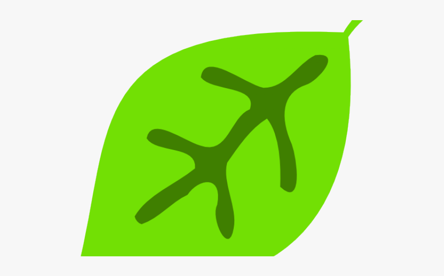 Cute Green Leaf Clipart, Transparent Clipart