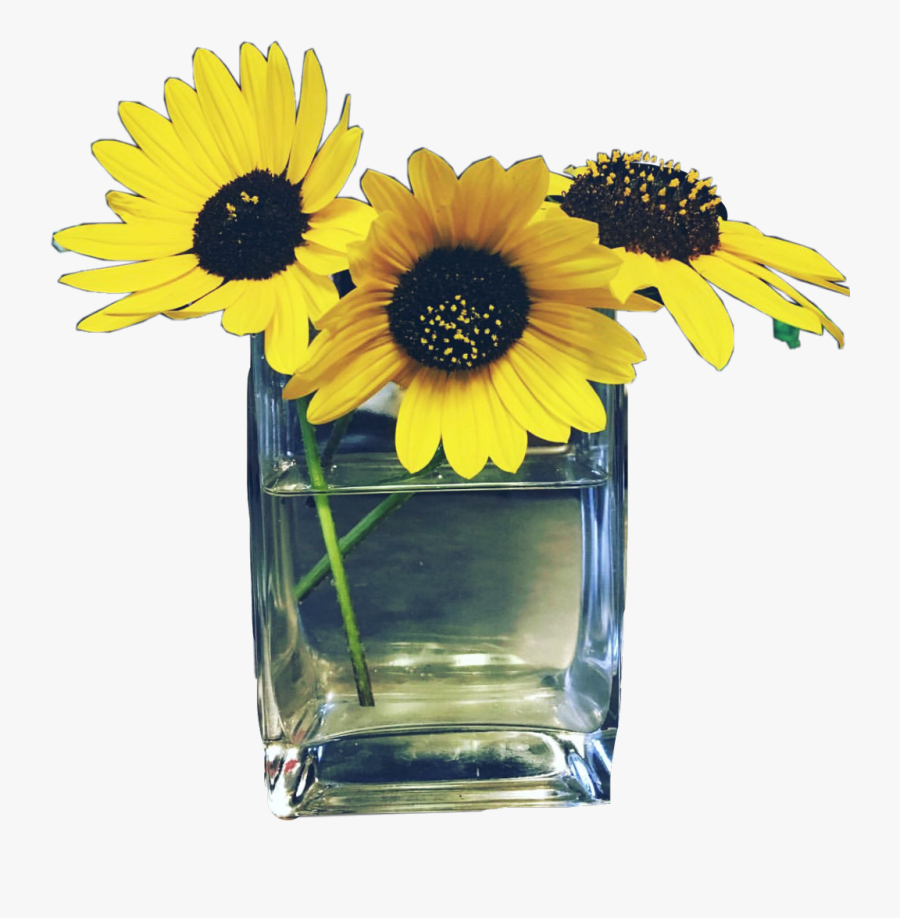 #sunflowers #vase #flowers #yellow #freetoedit - Picsart Sticker Flower Yellow, Transparent Clipart