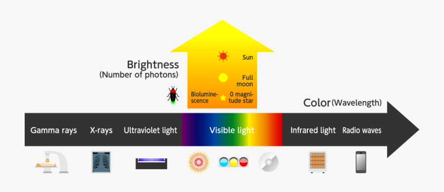 State Of Light - Photons Of Light Diagram, Transparent Clipart
