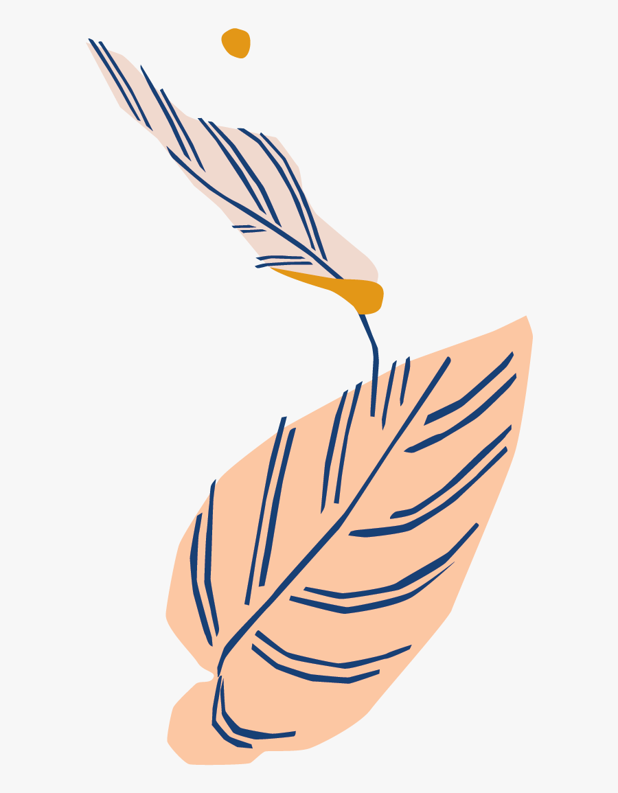 Botanical Name - Illustration - Calathea Pinstripe Illustration, Transparent Clipart