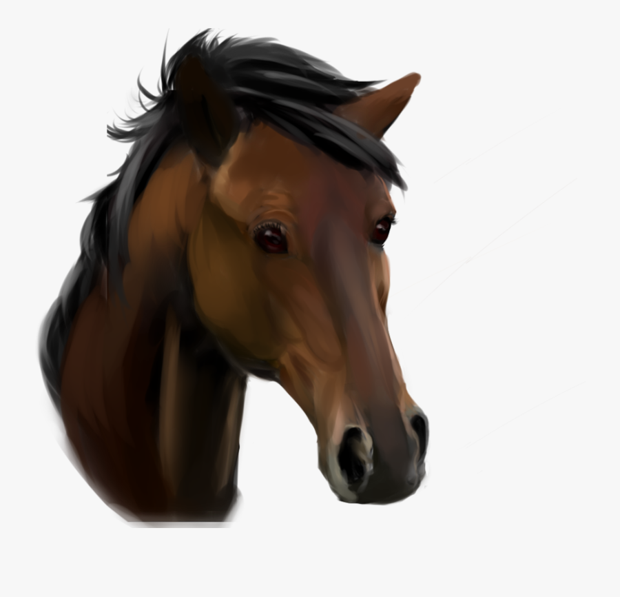 Horse Face Png, Transparent Clipart