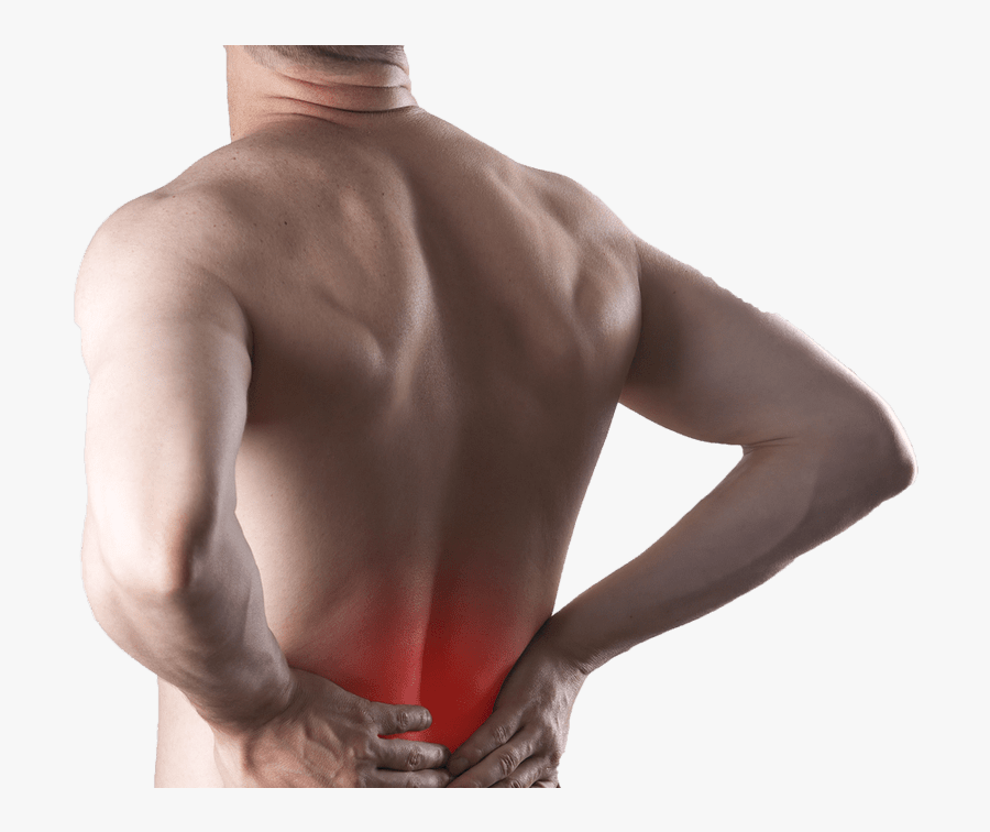 Chiropractor Broomfield Co - Sciatalgia Schiena, Transparent Clipart