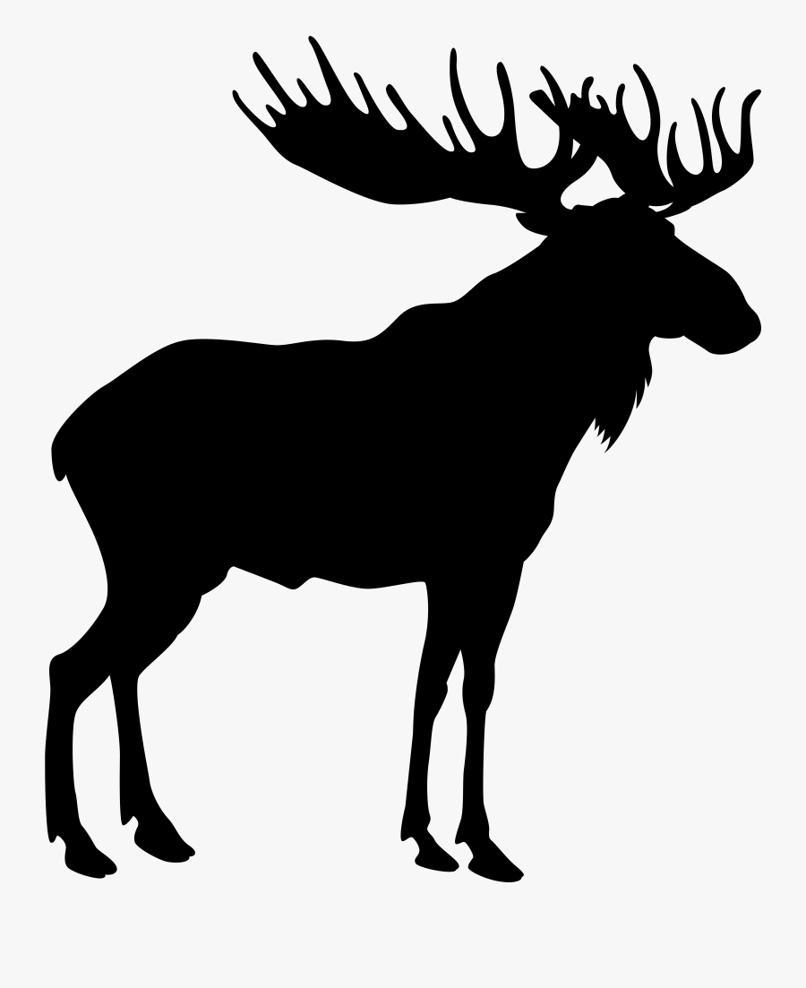 Moose Stock Photography Royalty-free Vector Graphics, Transparent Clipart