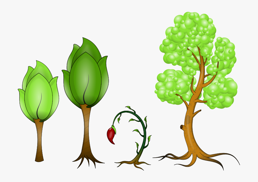 Imagenes De Plantas Con Png, Transparent Clipart
