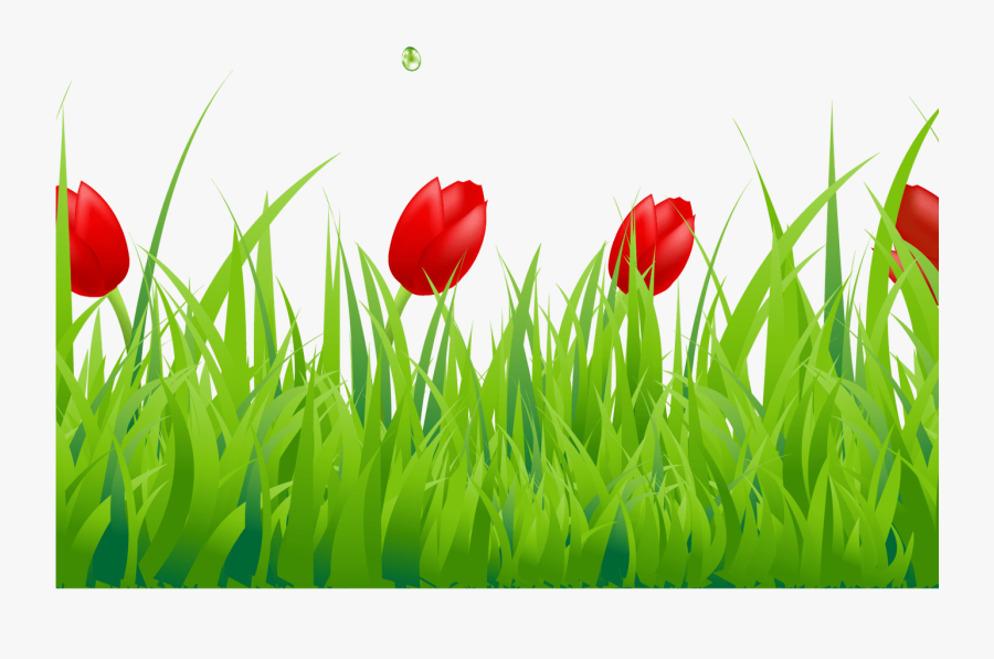 Spring Clipart Spring Grass Pencil And In Color Spring - Border Tulip Clip Art, Transparent Clipart
