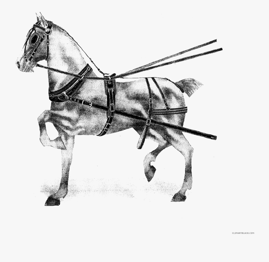 Transparent Horse Racing Clipart - Stallion, Transparent Clipart