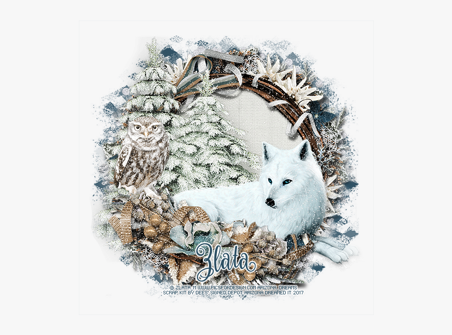 Arctic Fox - Red Fox, Transparent Clipart