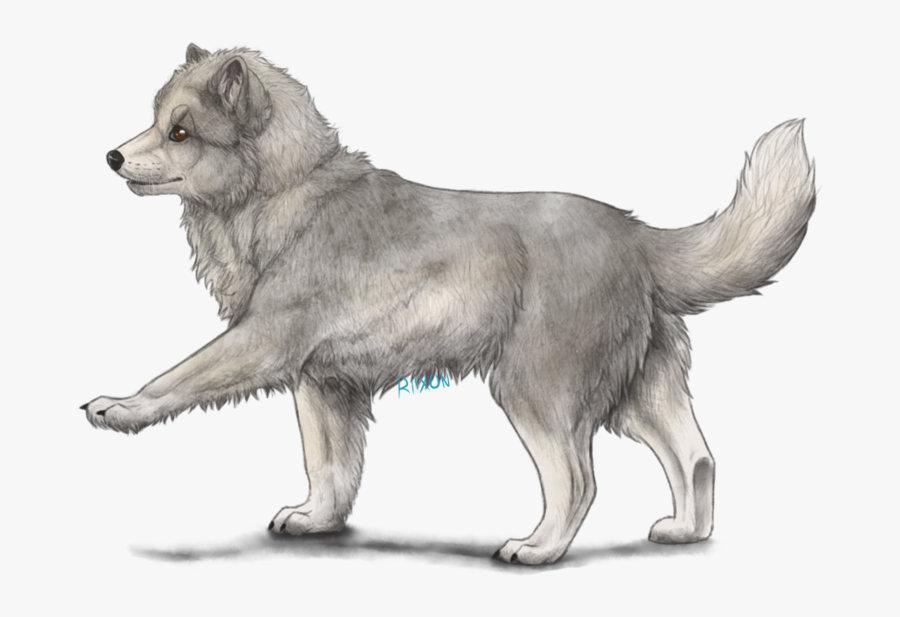 Dog Yawns, Transparent Clipart