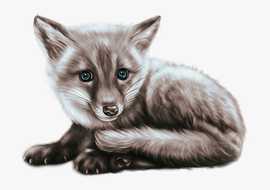 Animal, Transparent Clipart