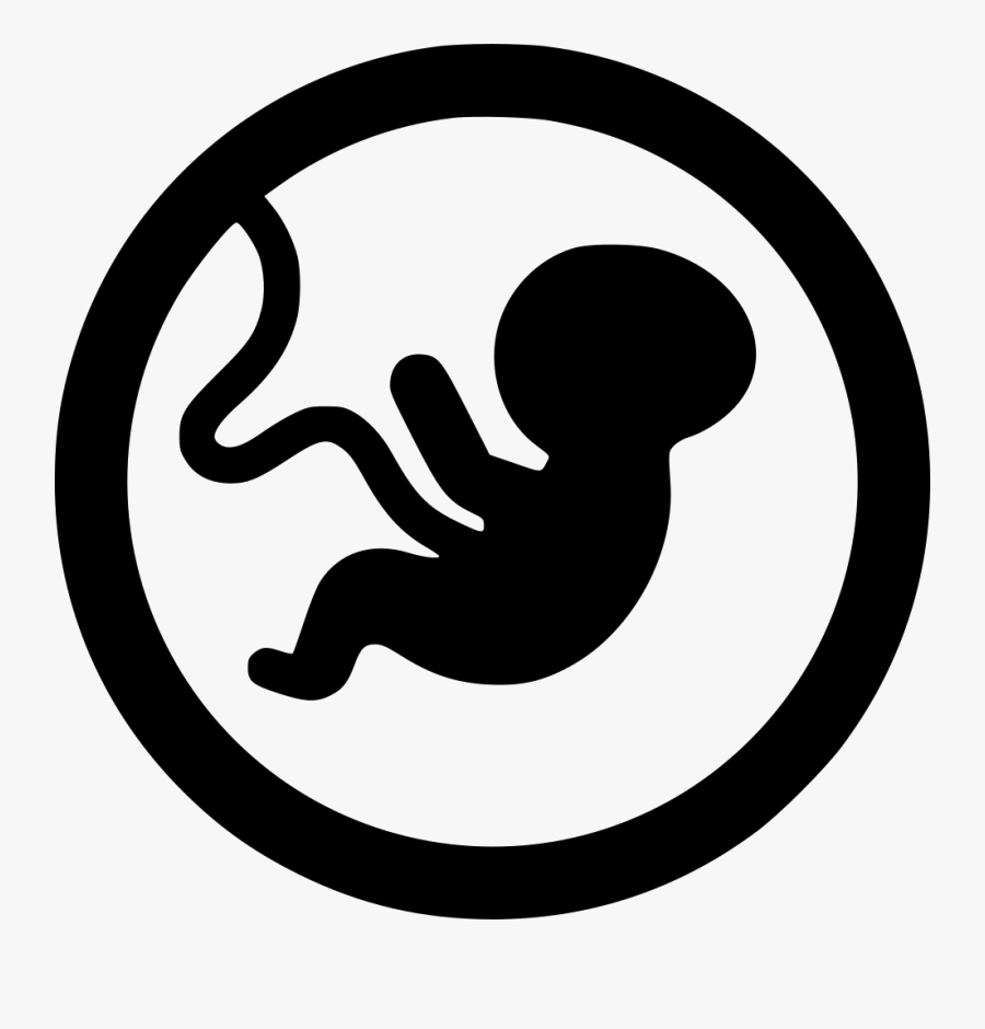 Free Download Embryo Transparent Clipart Embryo Fetus - Embryo Png, Transparent Clipart
