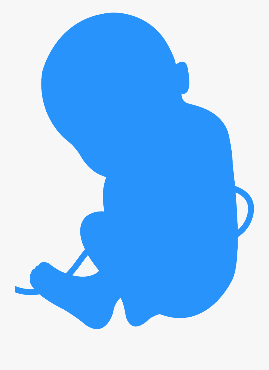 Feto Silhueta, Transparent Clipart