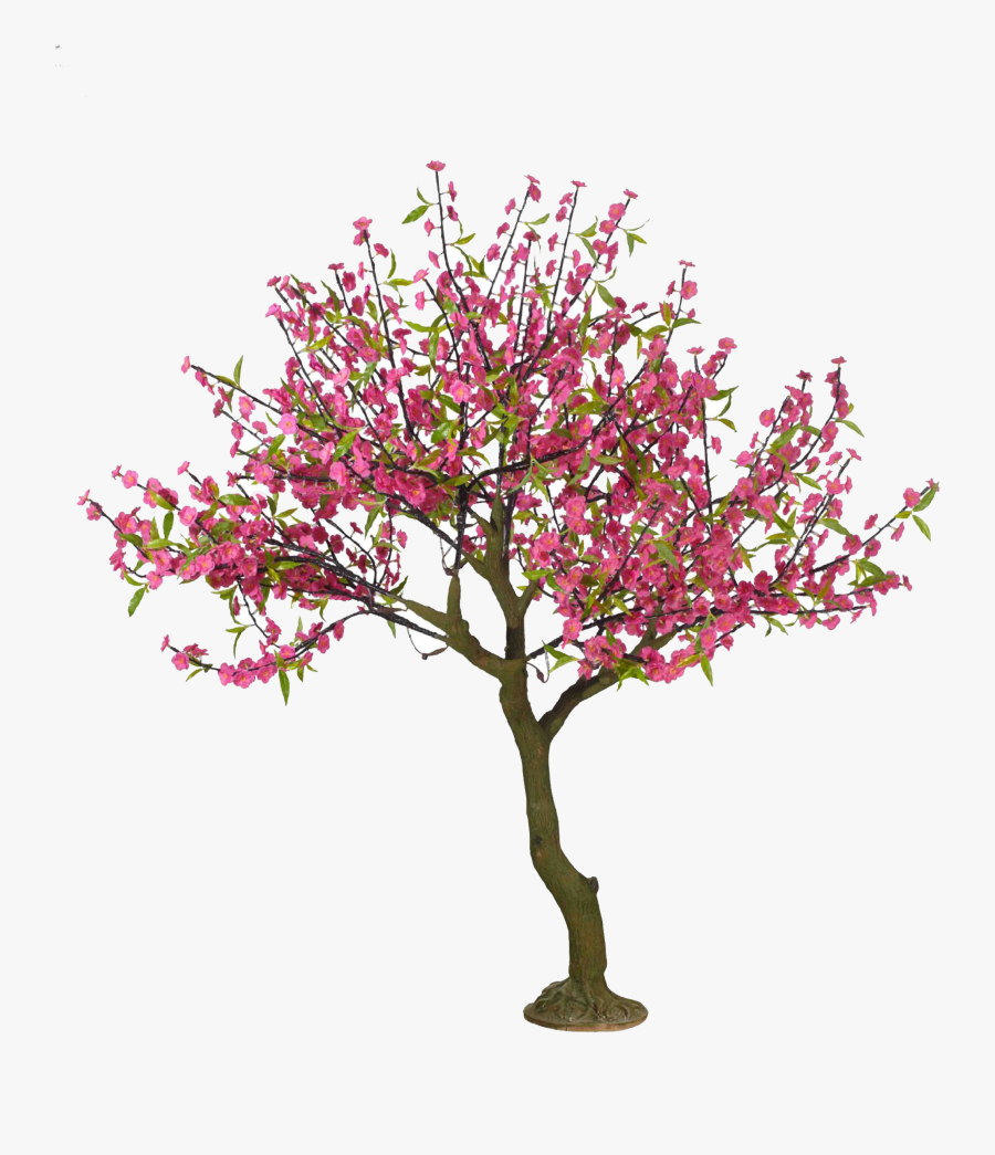 Clip Art Collection Of Free Download - Drawn Cherry Blossom Tree, Transparent Clipart