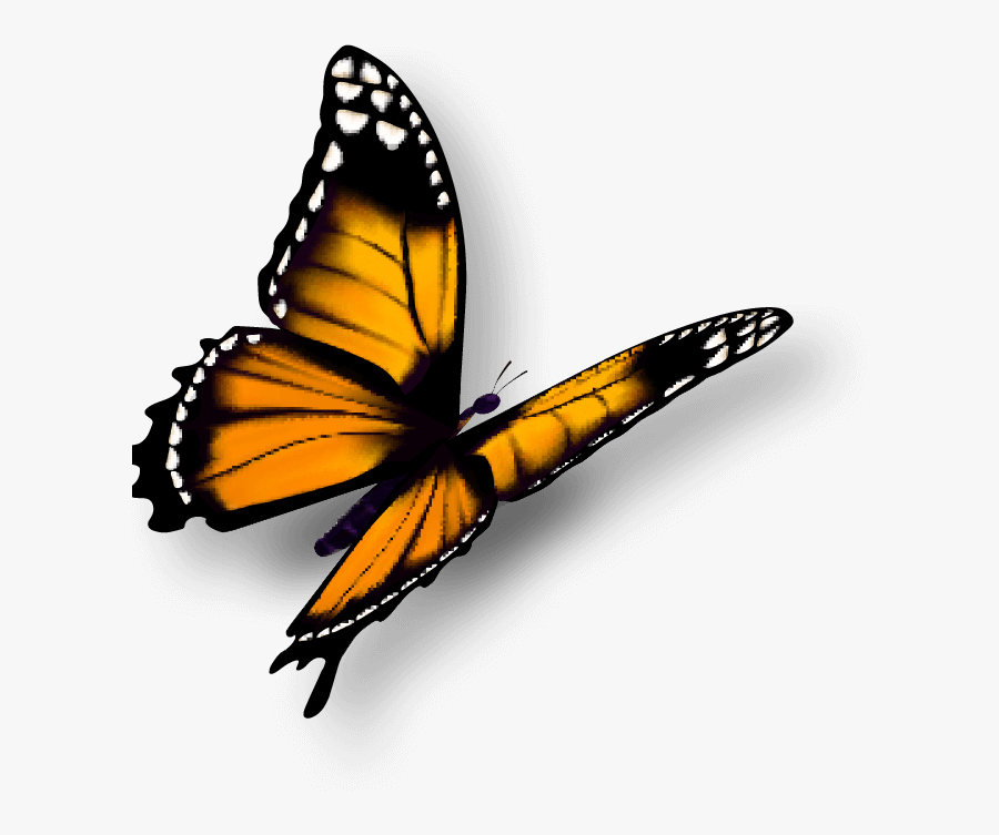 Rummage Sale Clipart, Transparent Clipart