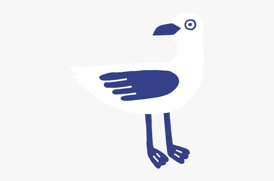 Bird, Transparent Clipart