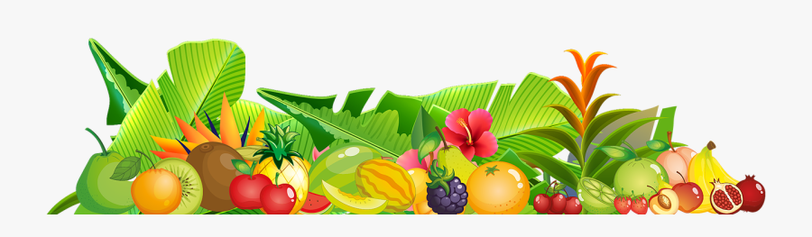 Plantsnfruitsleft 01 - Illustration, Transparent Clipart