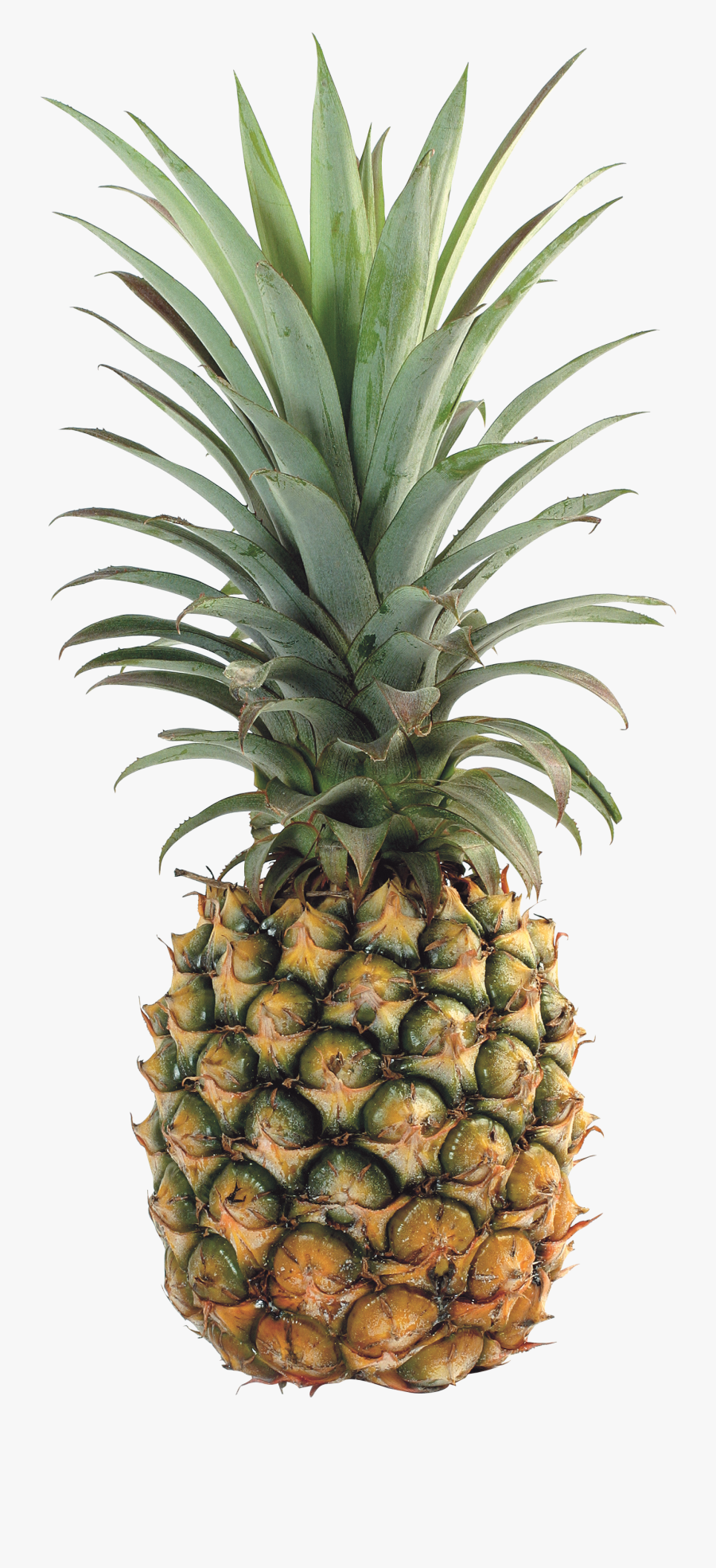 Pineapple, Transparent Clipart