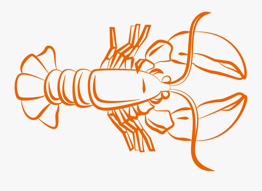 Caridea Shrimp Clip Art - Illustration, Transparent Clipart