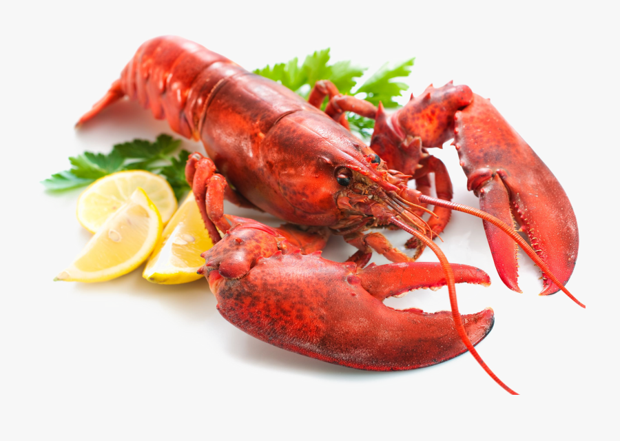 Lobster Transparent Png - Lobster Png, Transparent Clipart