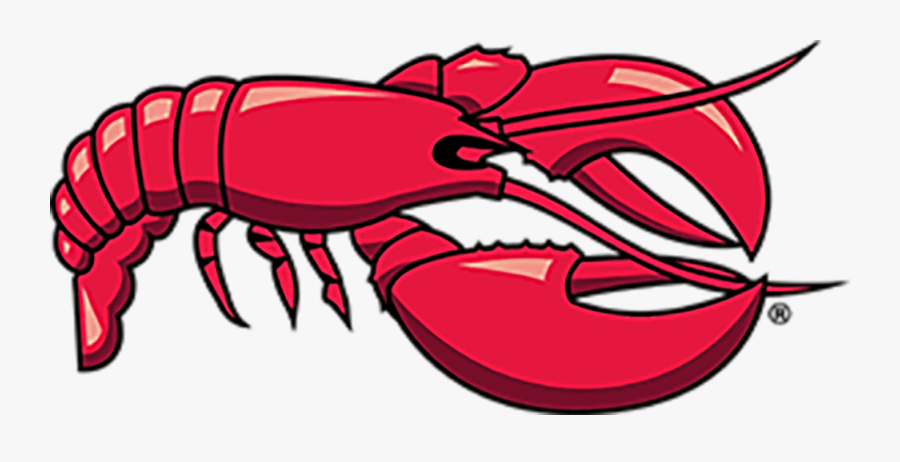 Into Our Producer, Scheduling Shoots And Handling Logistics - Red Lobster Logo, Transparent Clipart
