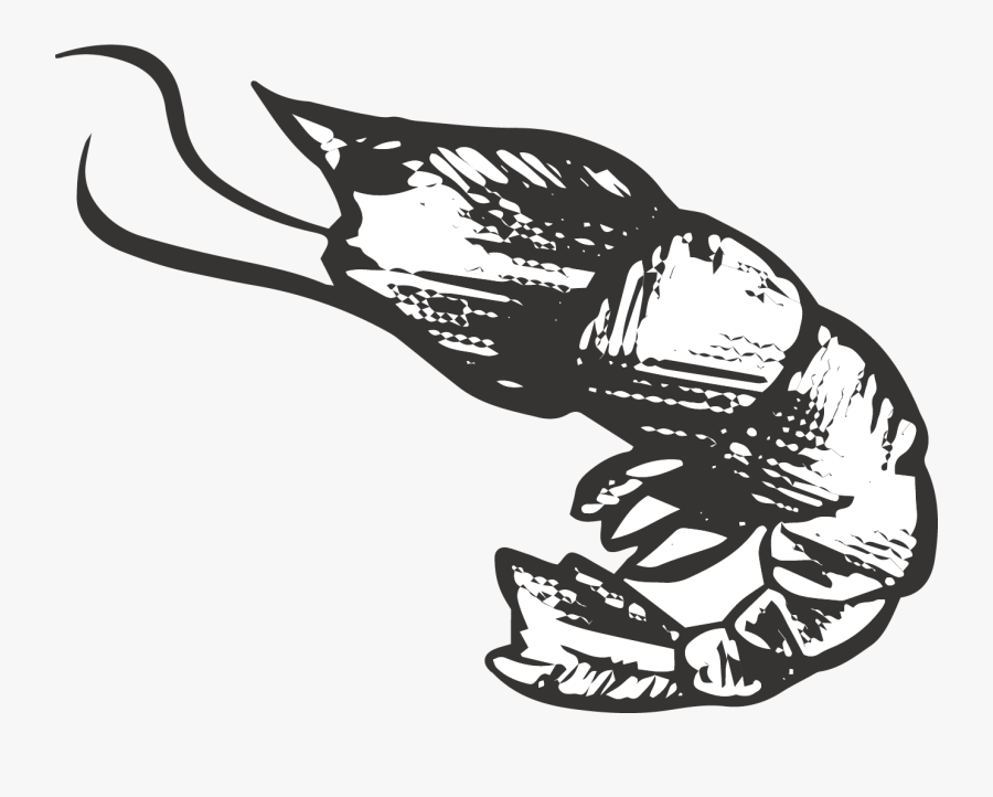 Clip Art Lobster Graphic - Marisco Png Blanco Y Negro, Transparent Clipart