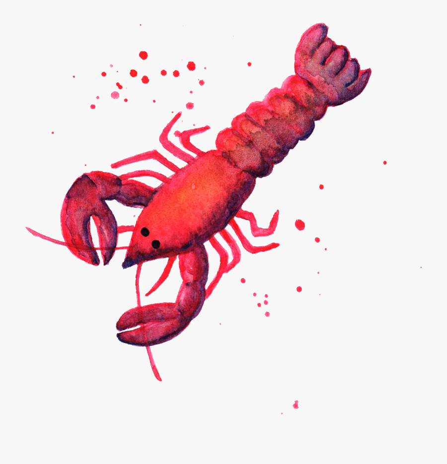 Lobster Png - American Lobster, Transparent Clipart