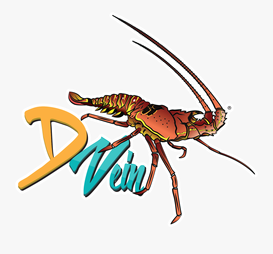 D Vein Company Blog - Homarus, Transparent Clipart