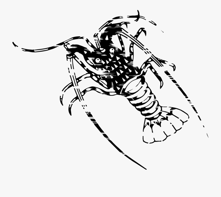Corporate Icon Jpg File Kaiar Tropical Rock Lobster - Illustration, Transparent Clipart