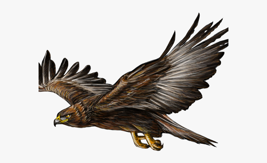 Golden Eagle Flying Png, Transparent Clipart