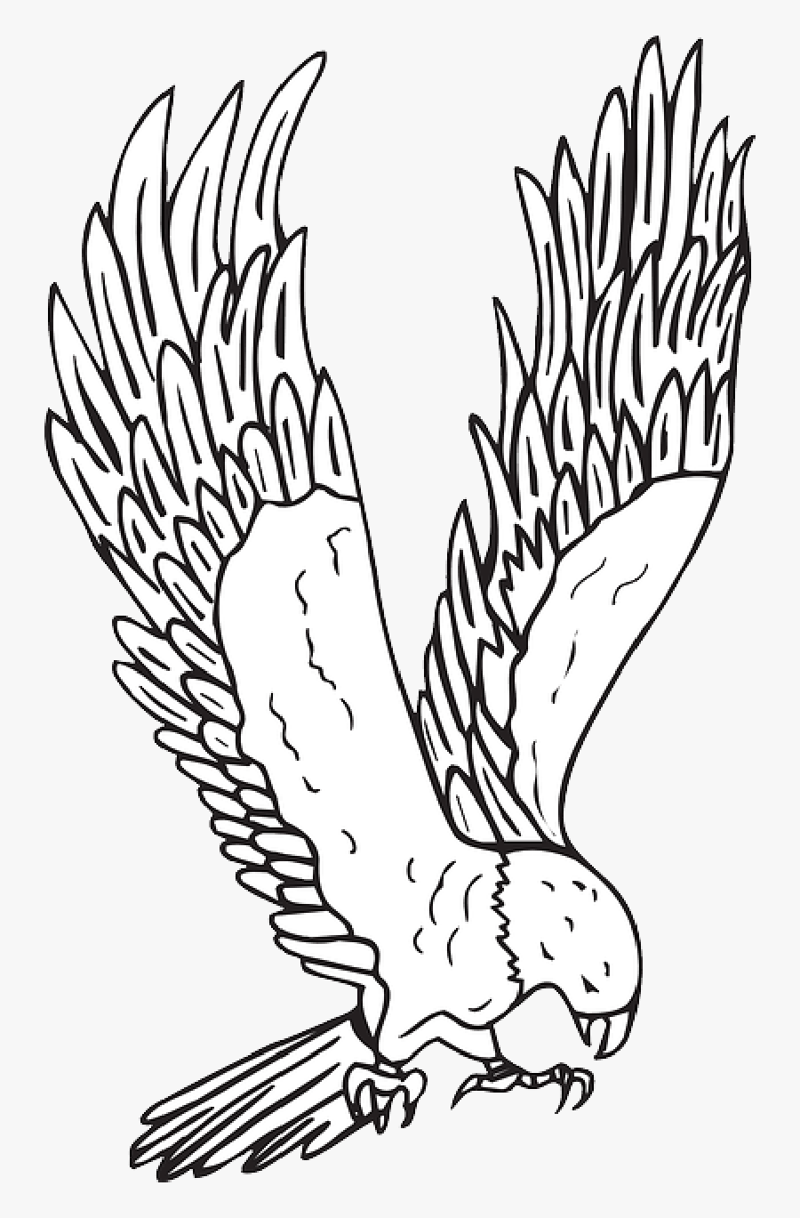 Hawk Clipart Black And White , Png Download - Clip Art Hawk Black And White, Transparent Clipart