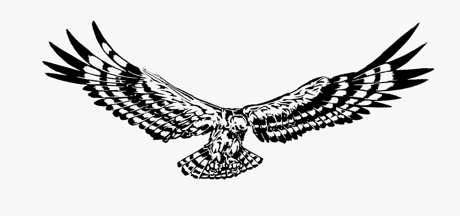 About Red Bows Contact - Hawk, Transparent Clipart