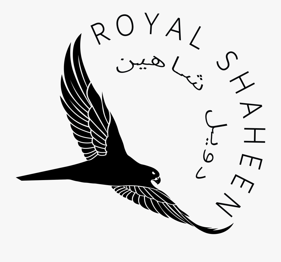 Transparent Cute Hawk Clipart - Royal Shaheen, Transparent Clipart