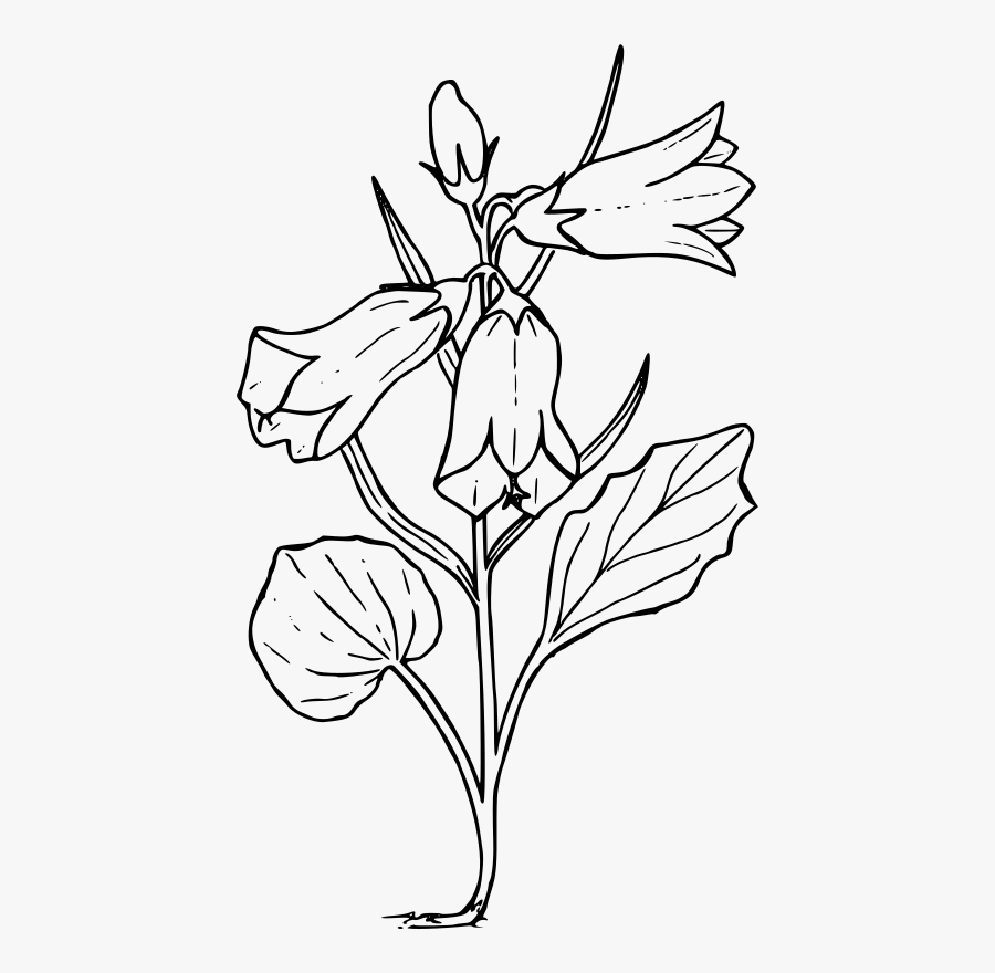 Clipart - - Outline Of Blue Bell, Transparent Clipart