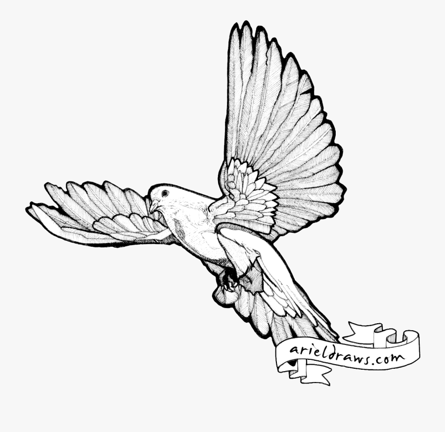 Custom Inquiries Clipart , Png Download - Line Art, Transparent Clipart