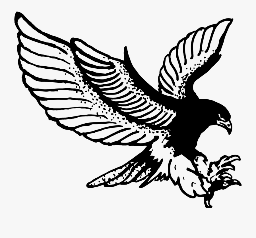 Fly With Hatchet - Hawk Drawing Png, Transparent Clipart