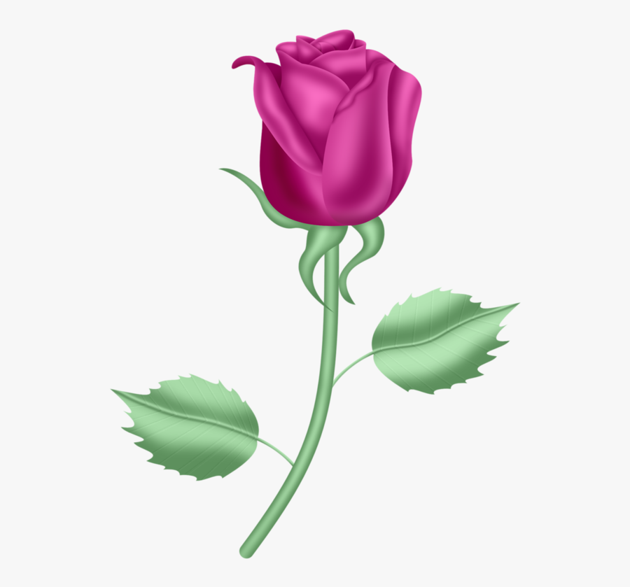 Rosa Com Caule Desenho Png, Transparent Clipart