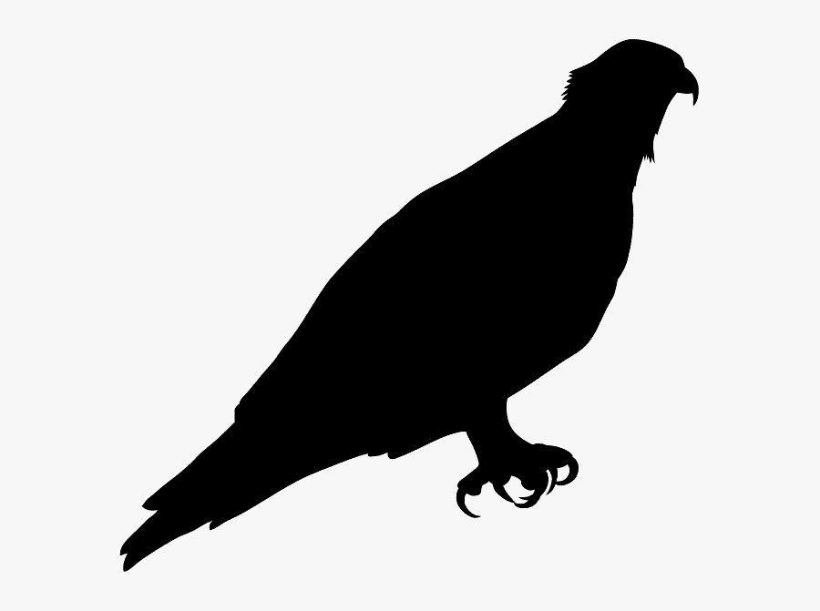 Aguila Pescadora Silueta, Transparent Clipart
