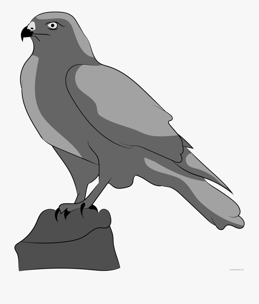 Transparent Falcon Clipart - Şahin Hayvan Resmi Çizimi, Transparent Clipart