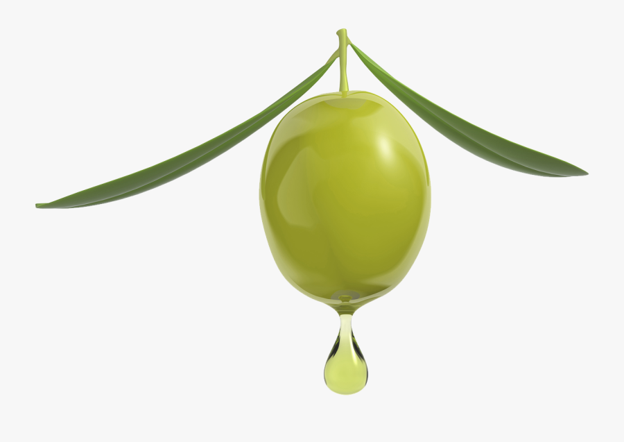 Olio D Oliva, Transparent Clipart