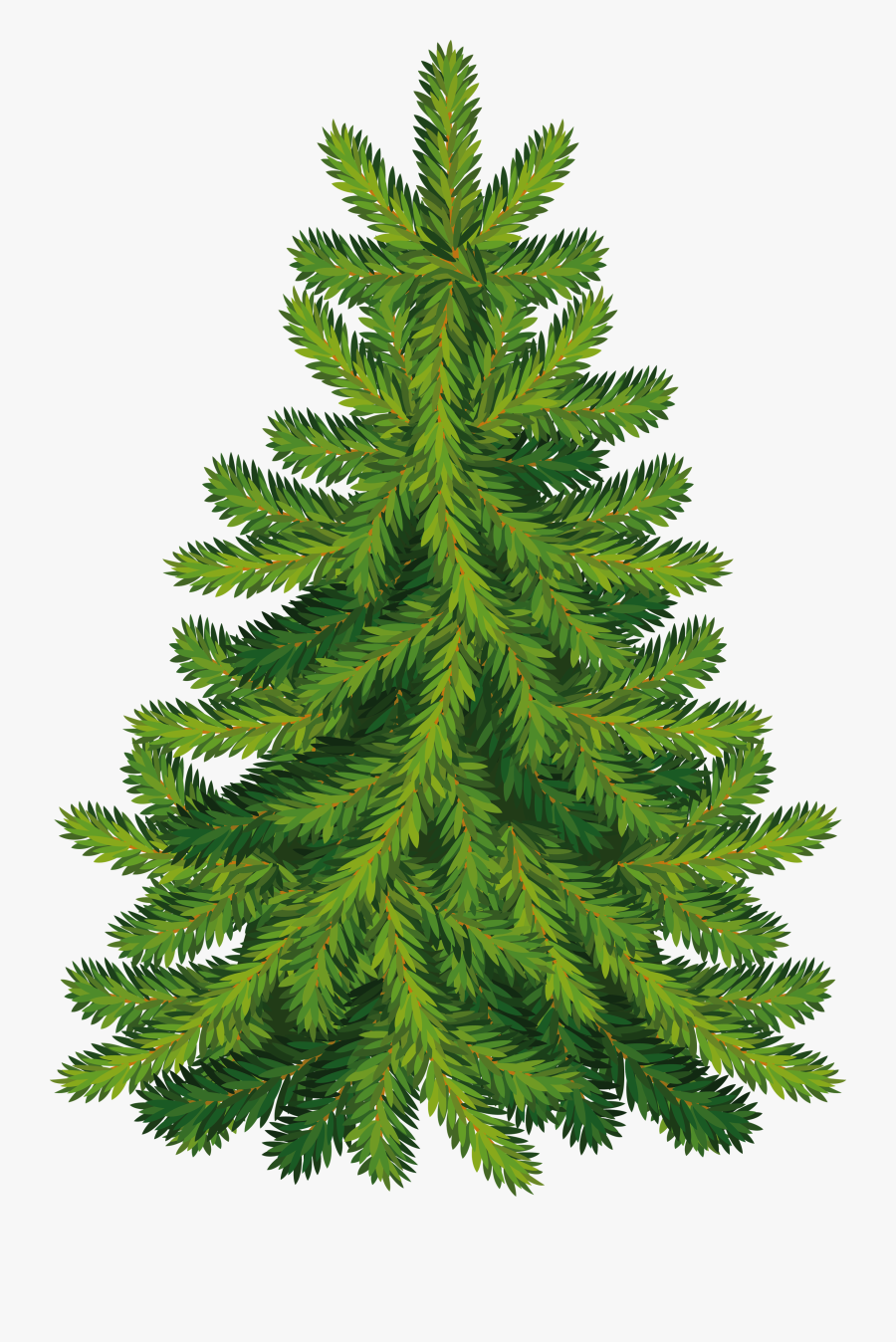 Christmas Tree, Transparent Clipart