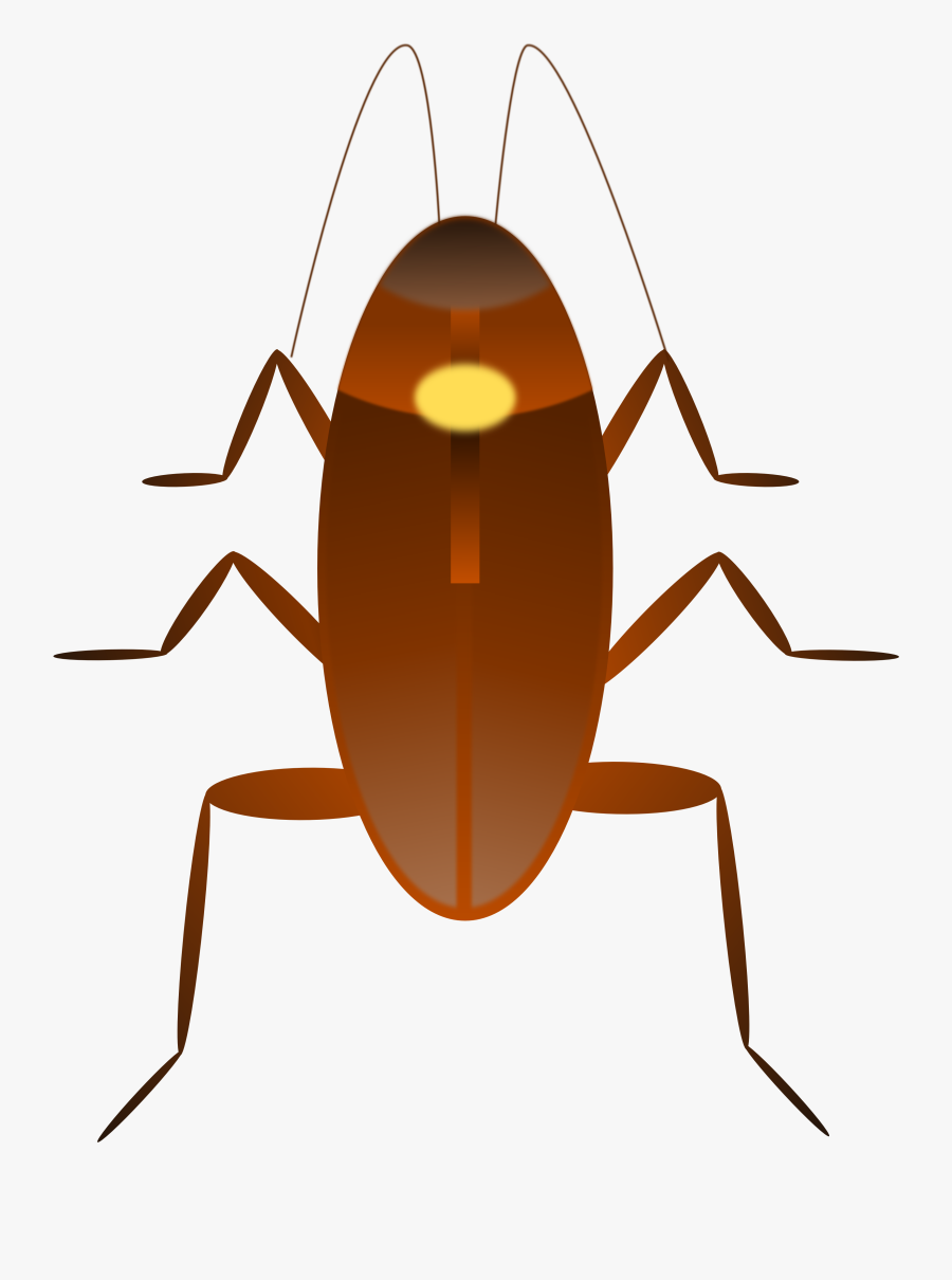 Cockroach Clip Art - Kecoa Vektor, Transparent Clipart