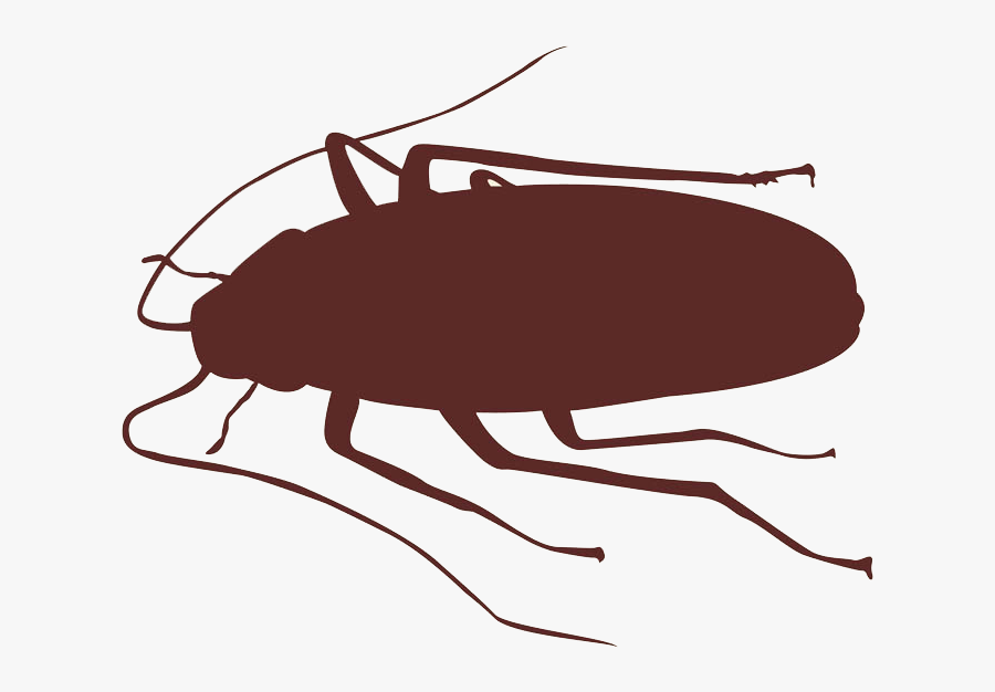 Cockroach Insect Silhouette - Cockroach Clipart Silhouette, Transparent Clipart