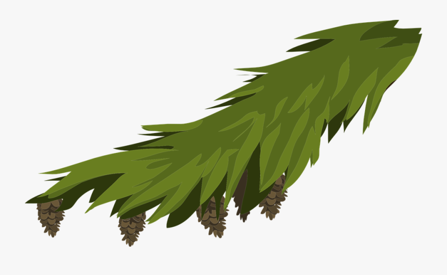 Hojas De Pino Navideño Png, Transparent Clipart