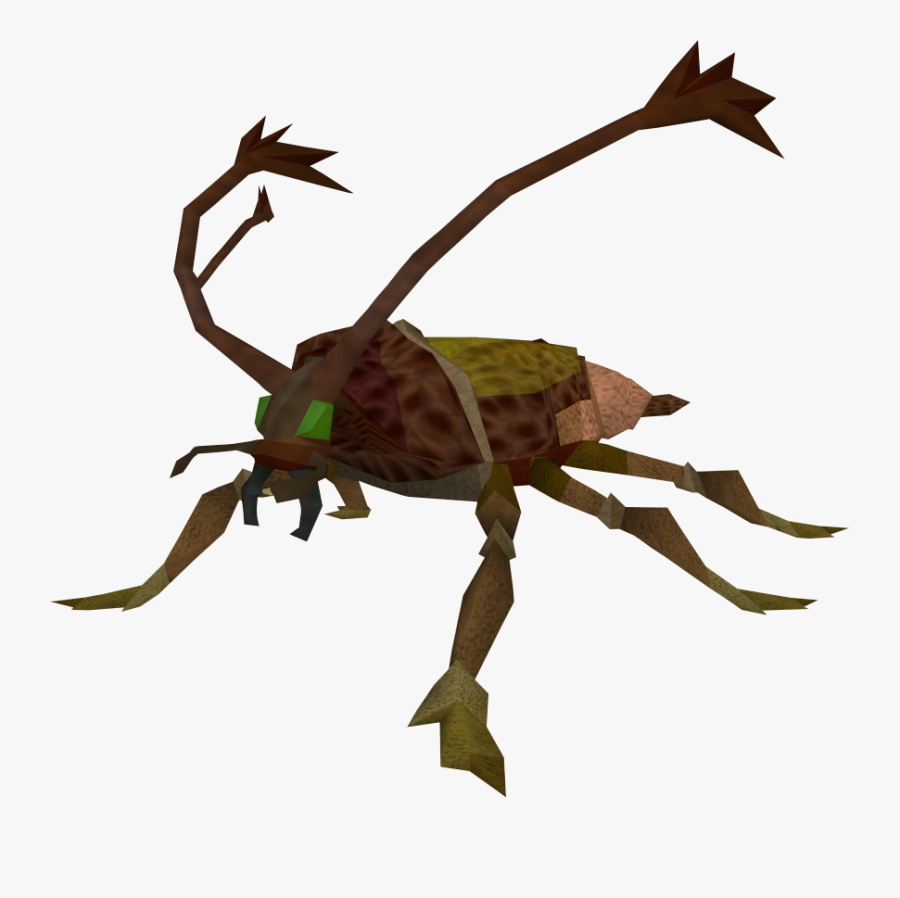 The Runescape Wiki - Cockroach Soldier, Transparent Clipart
