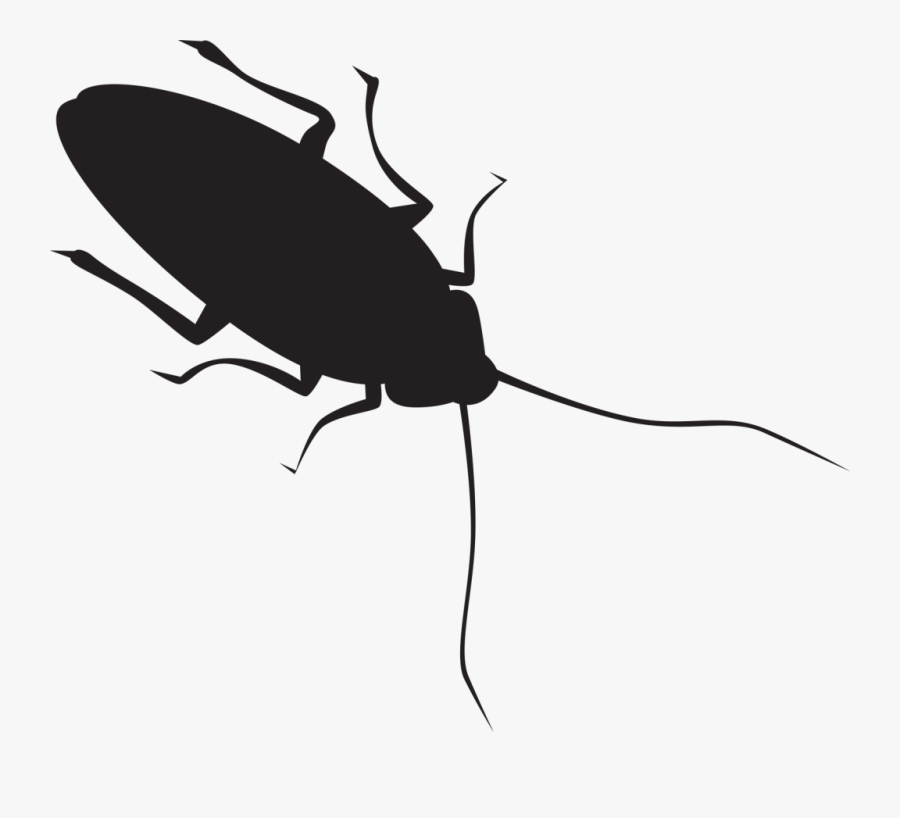 Featured image of post Cockroach Silhouette About 30 cockroach species out of 4 600 are associated with human habitats