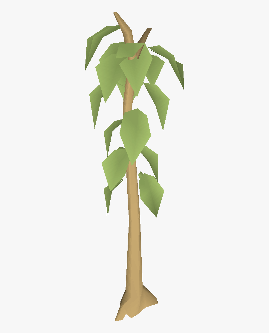 Old School Runescape Wiki Transparent Teak Tree Clipart , Free